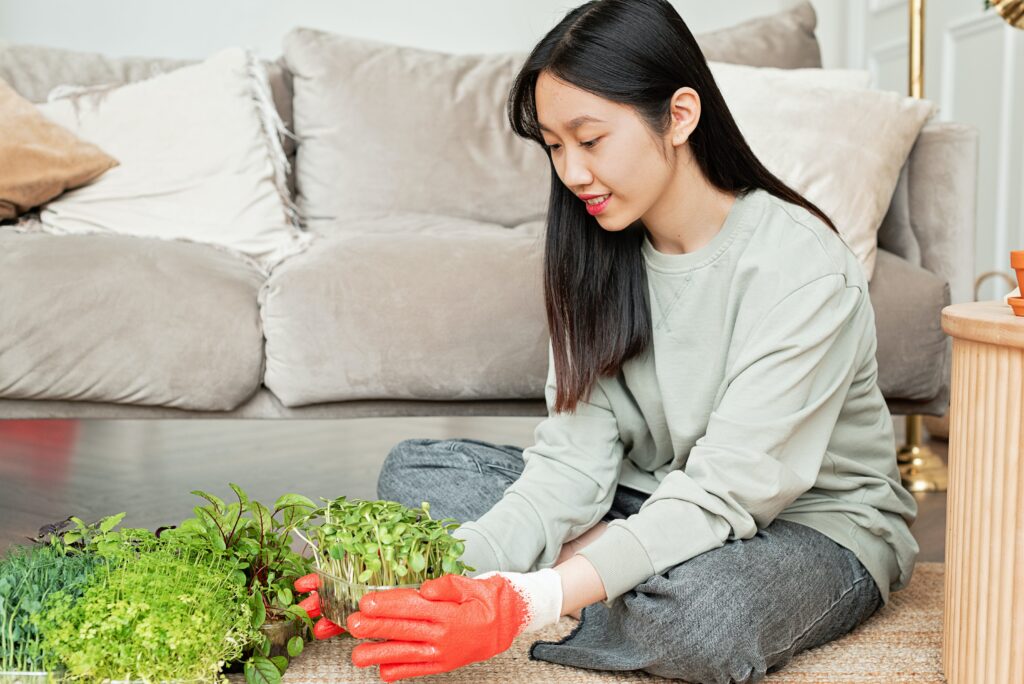 Best Sprouting Success: Pea Shoots! Unleashing the Flavors of Microgreen 2024